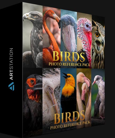 ARTSTATION – BIRDS REFERENCE PACK FOR ARTISTS 828 JPEGS BY SATINE ...